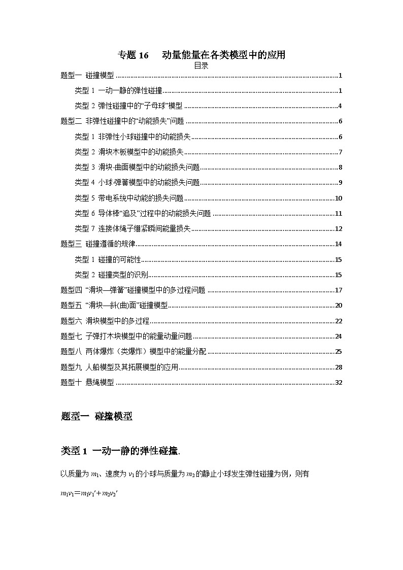 专题16   动量能量在各类模型中的应用（原卷版）第1页