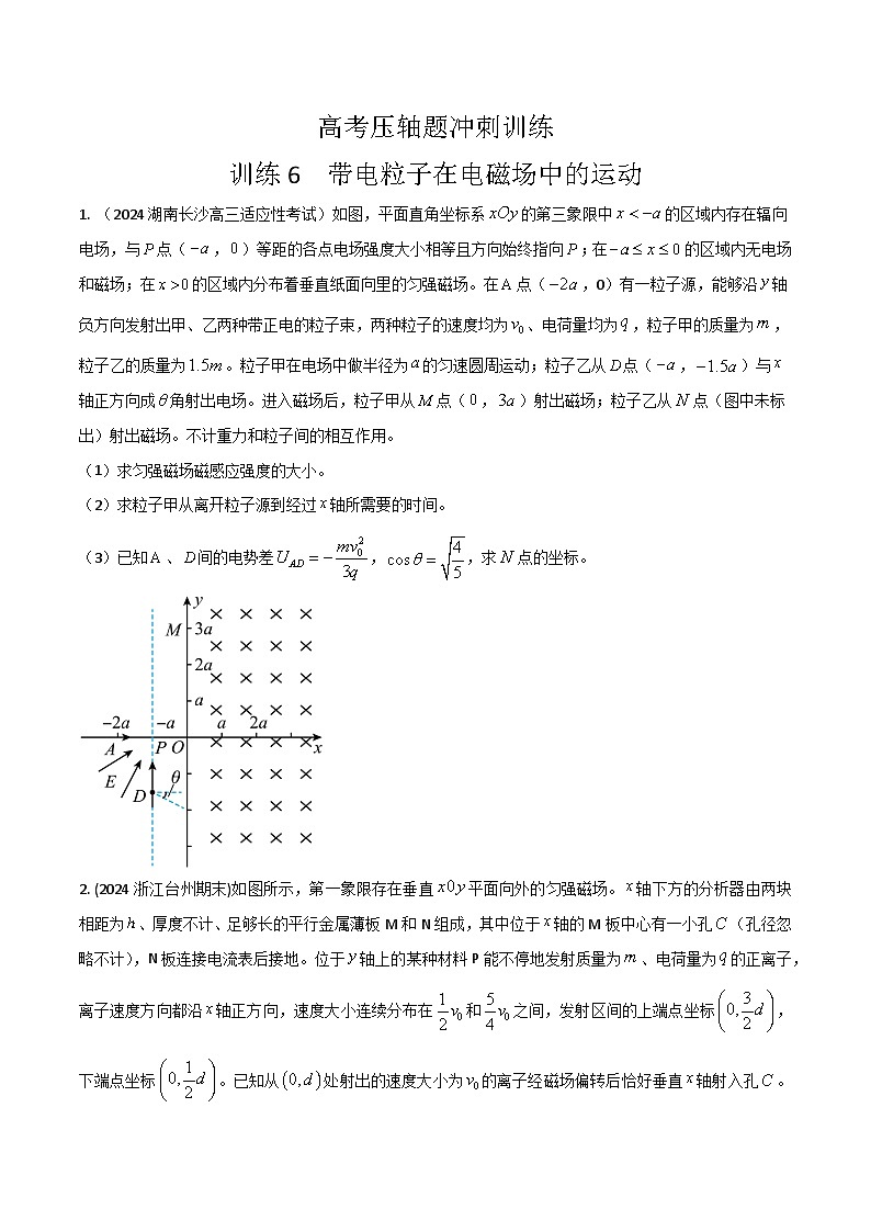 6.带电粒子在电磁场中的运动（原卷版）第1页