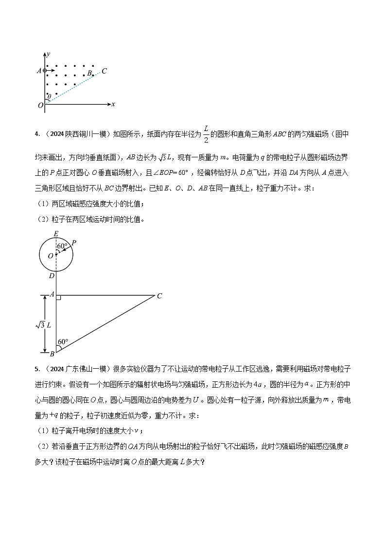 6.带电粒子在电磁场中的运动（原卷版）第3页