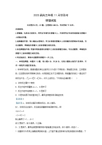 2024-2025学年广东省部分学校高三(上)11月联考物理试卷(解析版)