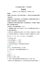 2024-2025学年广东省部分学校高三(上)11月联考物理试卷(解析版)