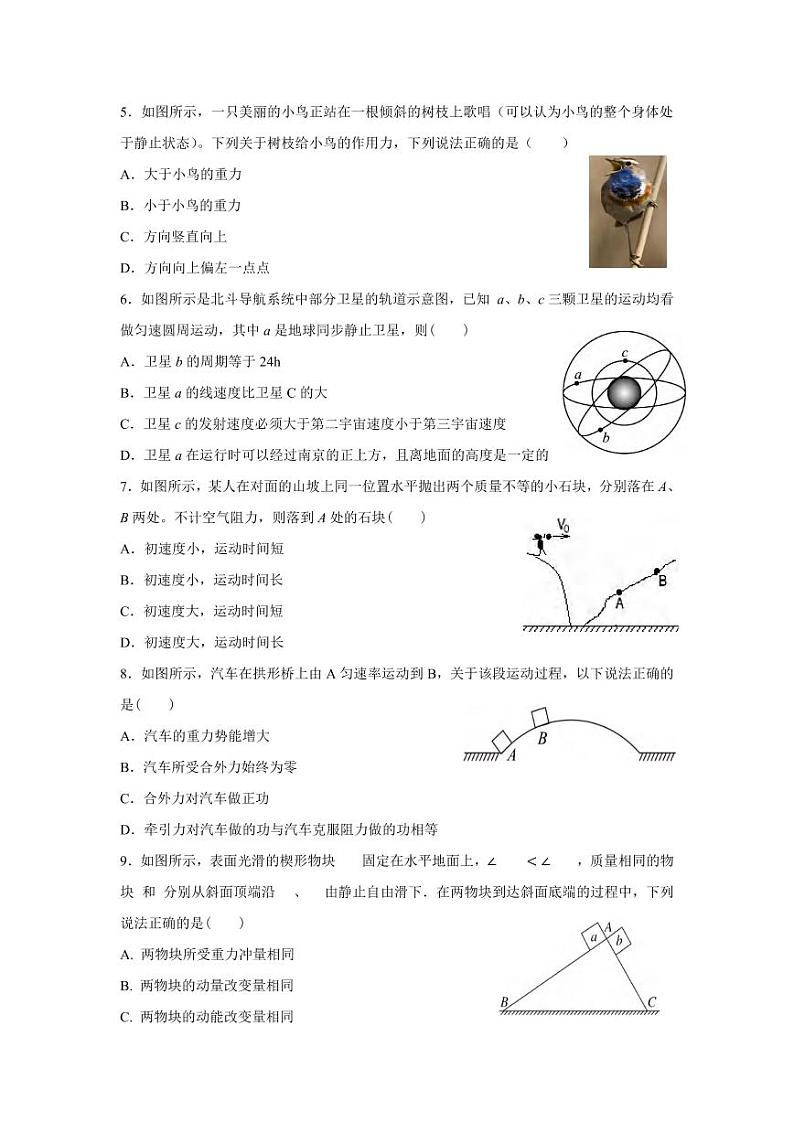 物理丨江苏省南京市协同体七校2025届高三上学期11月期中联合考试物理试卷及答案第2页
