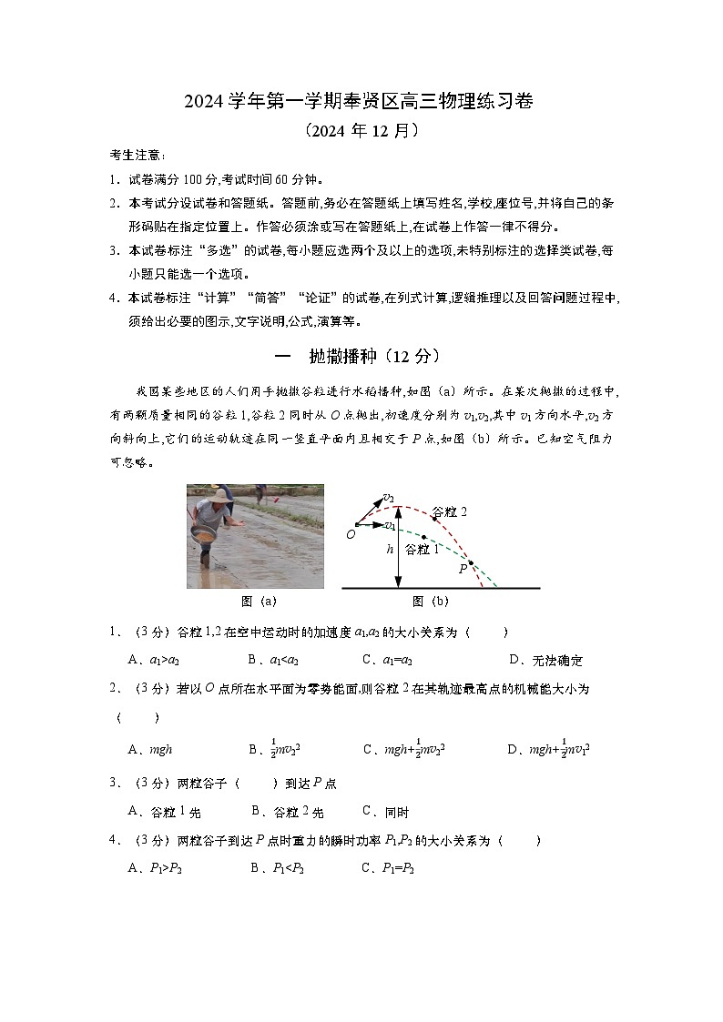 2024-2025学年上海市奉贤区高三上学期高考一模物理试卷含答案第1页