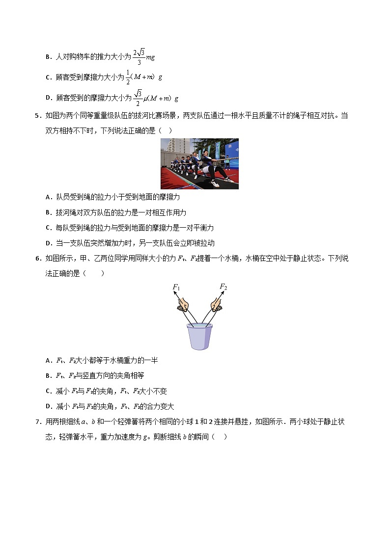 2024-2025学年高一物理(人教版2019)上学期期末考试模拟卷01第3页