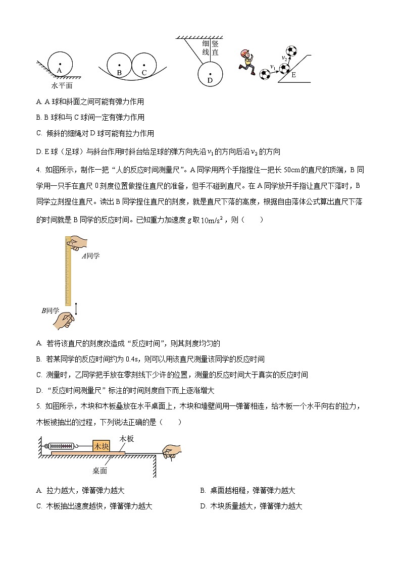 四川省成都外国语学校2024-2025学年高一上学期期中检测物理试题 Word版无答案第2页