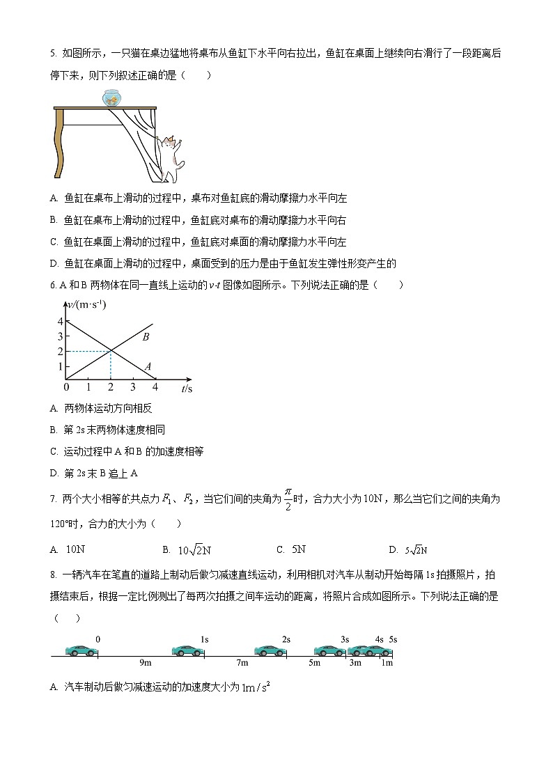 四川省攀枝花市第十五中学2024-2025学年高一上学期半期考试物理试卷 Word版无答案第2页