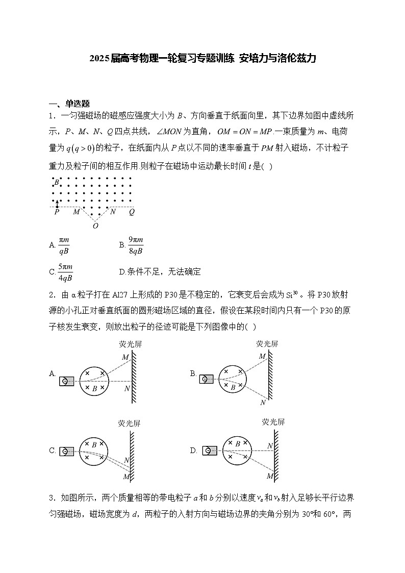 2025届高考物理一轮复习专题训练   安培力与洛伦兹力第1页