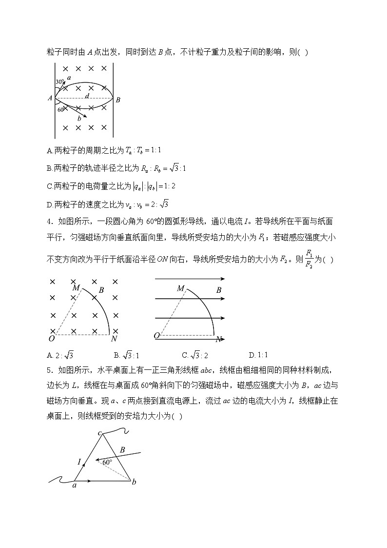 2025届高考物理一轮复习专题训练   安培力与洛伦兹力第2页