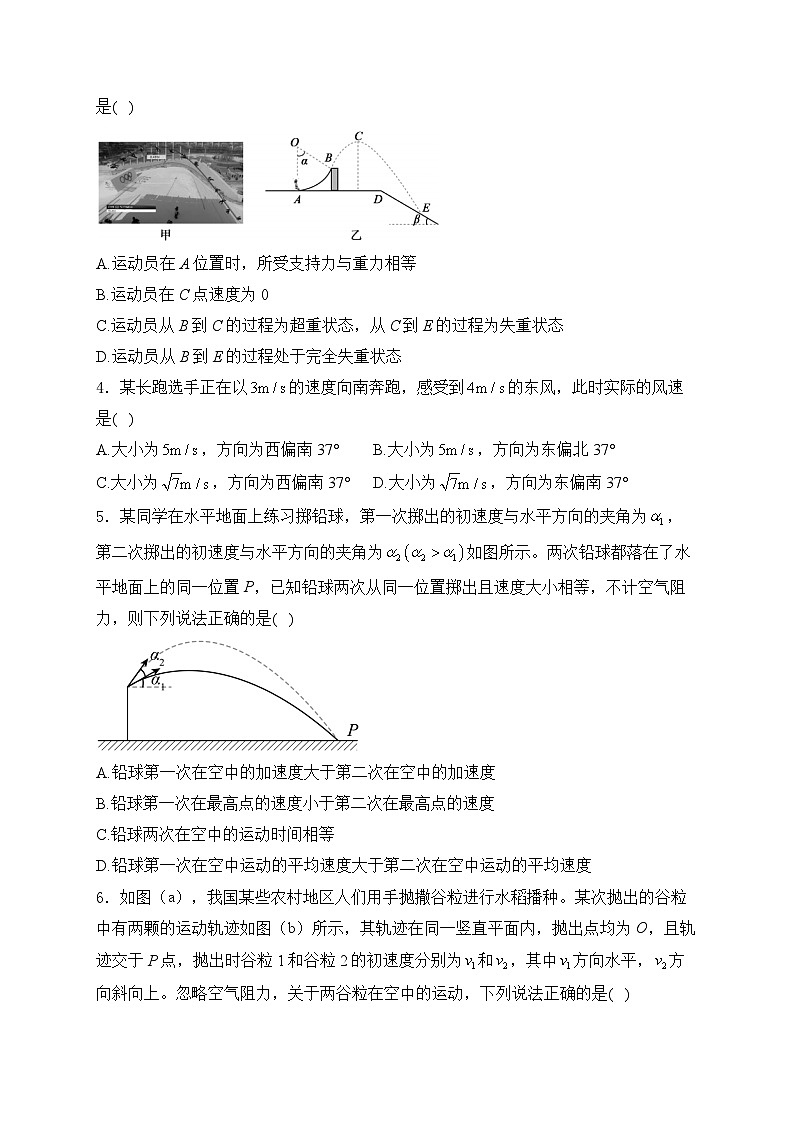 2025届高考物理一轮复习专题训练   抛体运动第2页