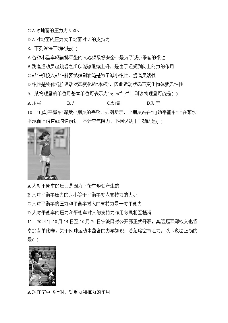 2025届高考物理一轮复习专题训练   牛顿运动定律第3页