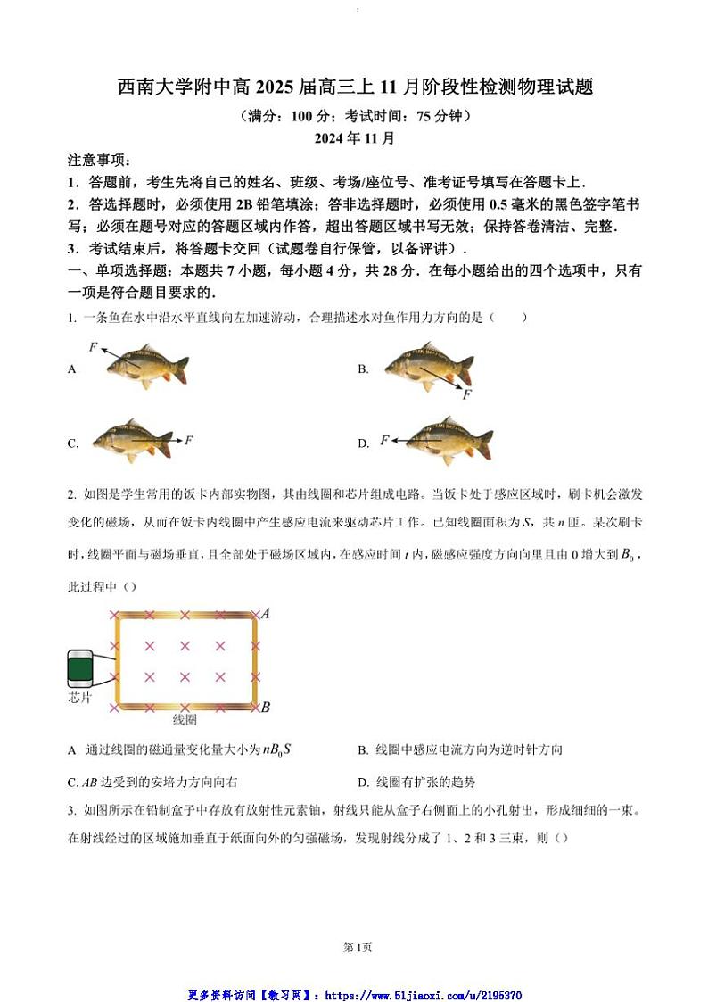 2024～2025学年重庆市西南大学附属中学高三(上)11月阶段性考试物理试卷(含答案)第1页