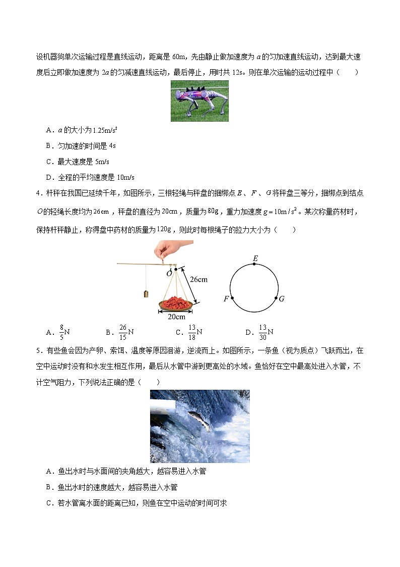 2024-2025学年高二物理（人教版）上学期期末模拟卷01第2页