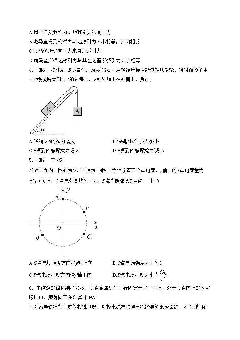 陕西省2025届高三上学期学业水平选择性考试（模拟）物理试卷第2页