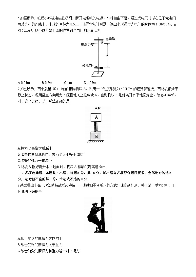 2025惠州博罗县高一上学期11月期中考试物理无答案第2页