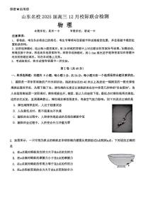 2025届山东名校高三上学期12月校级联合检测物理试卷+答案