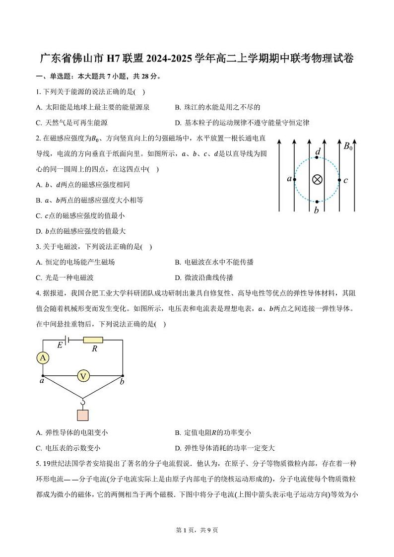 广东省佛山市H7联盟2024-2025学年高二上学期期中联考物理试卷（含答案）第1页