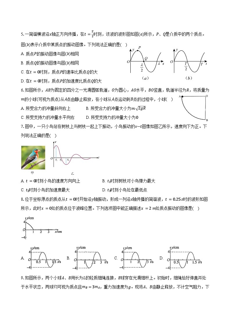 2024-2025学年江苏省苏州市六校联考高二（上）物理试卷（含答案）第2页
