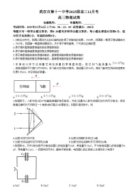 湖北省武汉市第十一中学2024-2025学年高三上学期12月月考物理试卷（Word版附答案）