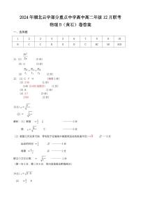 湖北省云学部分重点高中2024-2025学年高二上学期12月联考物理（黄石）试卷