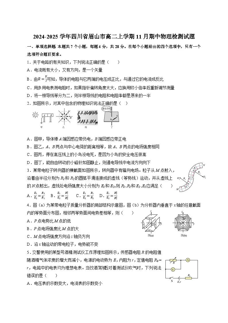 2024-2025学年四川省眉山市高二上学期11月期中物理检测试题第1页