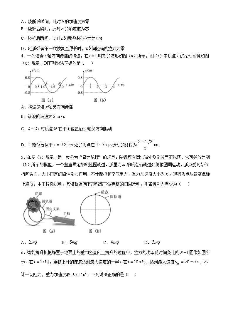 四川省成都市树德中学2024-2025学年高三上学期12月月考物理试题（Word版附答案）第2页