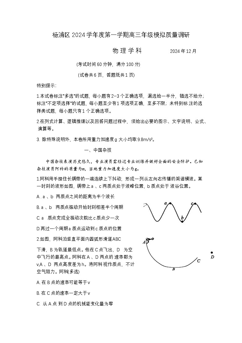 上海市杨浦区2024-2025高三一模质量调研物理试题及答案解析第1页