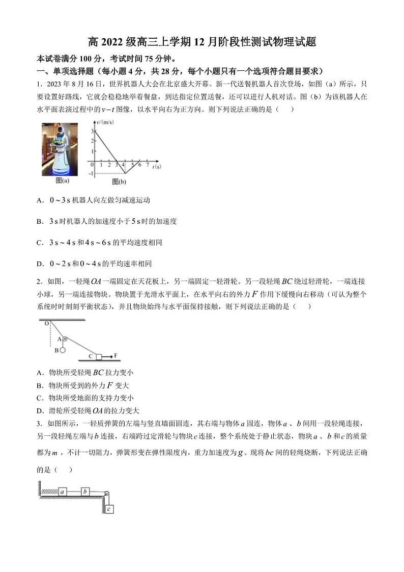 四川省成都市树德中学2024-2025学年高三上学期12月月考物理试题（含答案）第1页