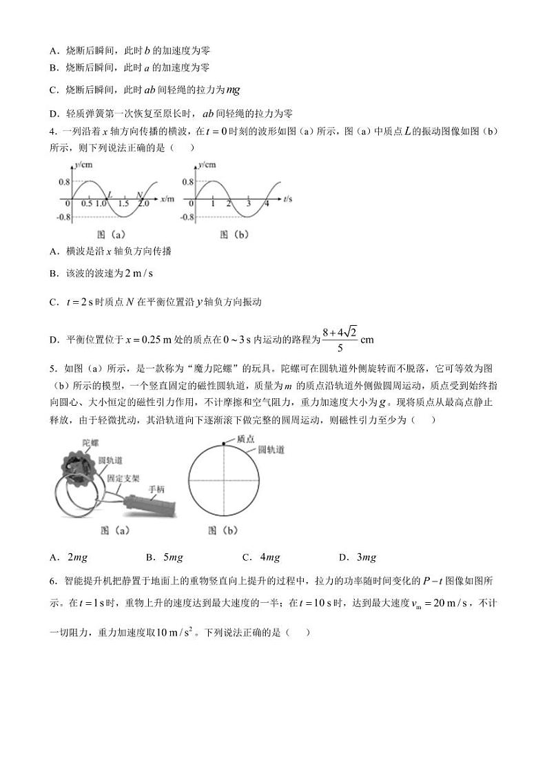 四川省成都市树德中学2024-2025学年高三上学期12月月考物理试题（含答案）第2页