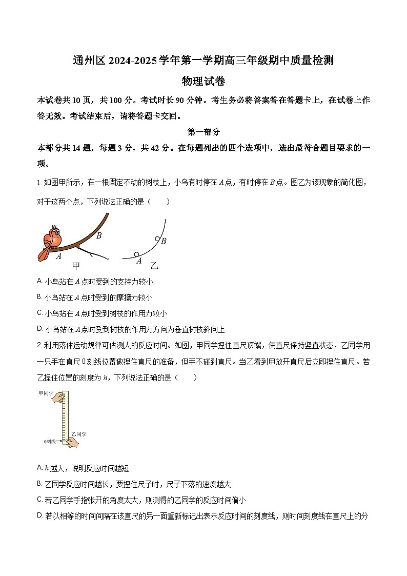 2025北京通州区高三上学期11月期中物理试题含解析第1页