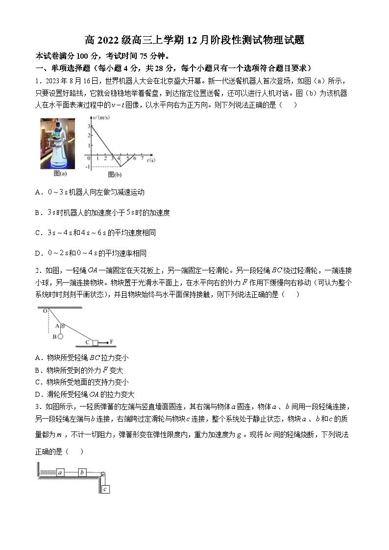 2025成都树德中学高三上学期12月月考试题物理含答案第1页