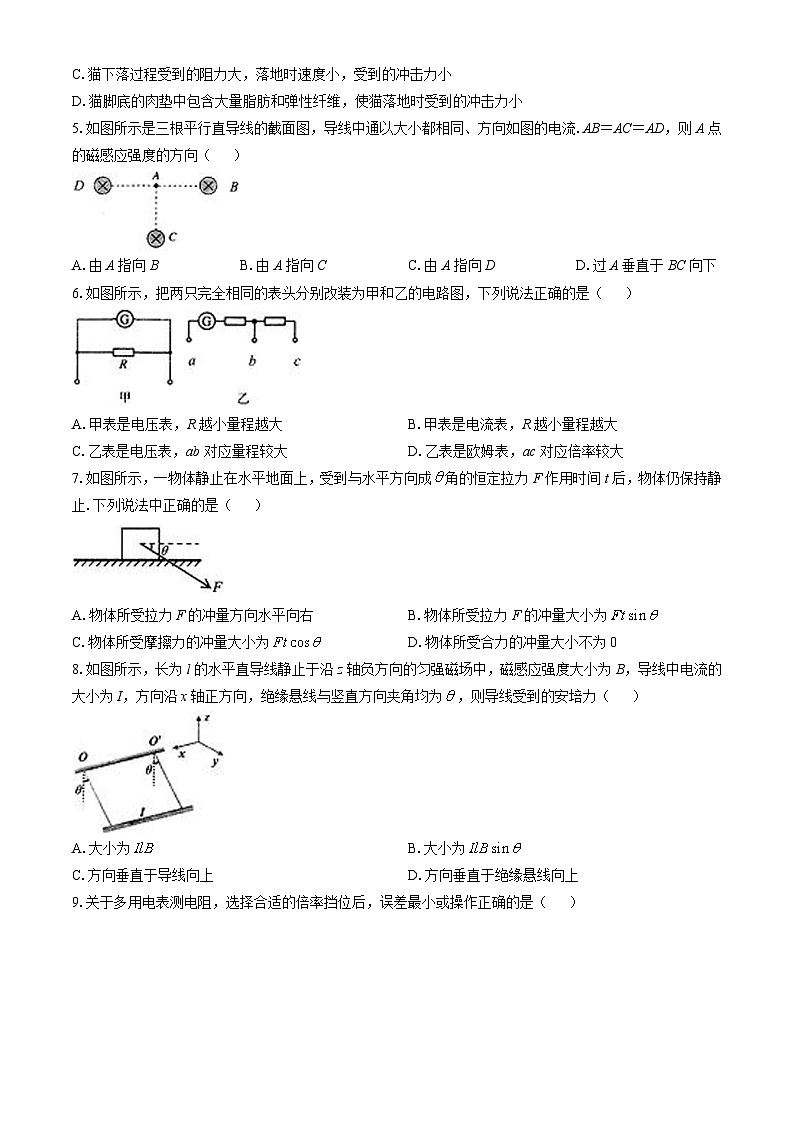 2025扬州高邮高二上学期11月期中考试物理含答案第2页