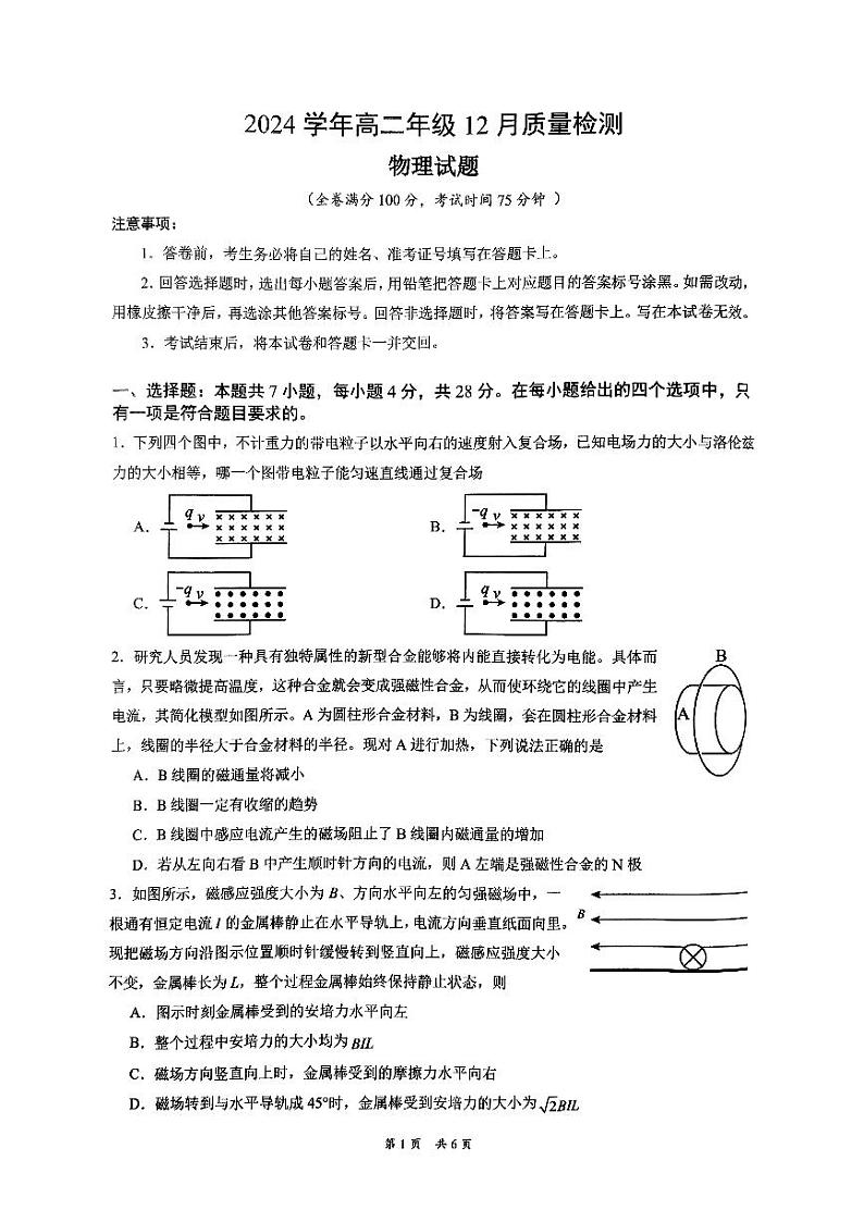 河南省洛阳市宜阳县第一高级中学2024-2025学年高二上学期12月质量检测物理试题第1页