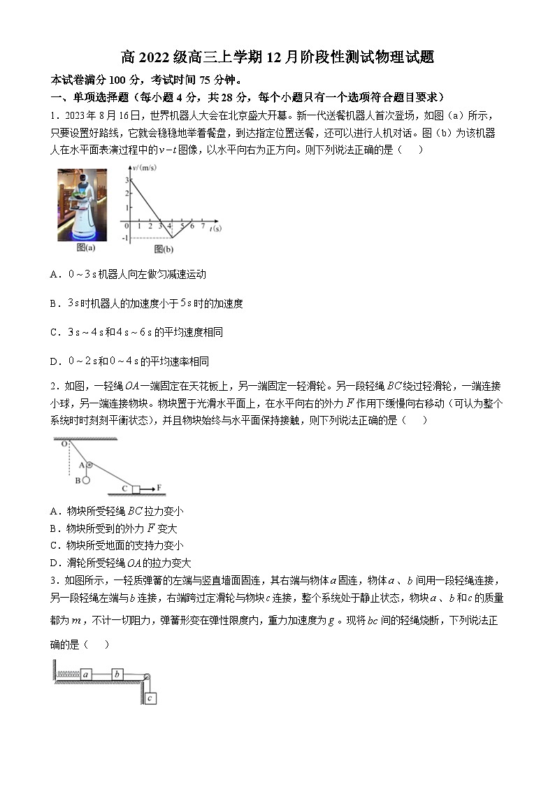 四川省成都市树德中学2024-2025学年高三上学期12月月考物理试题（含答案）第1页