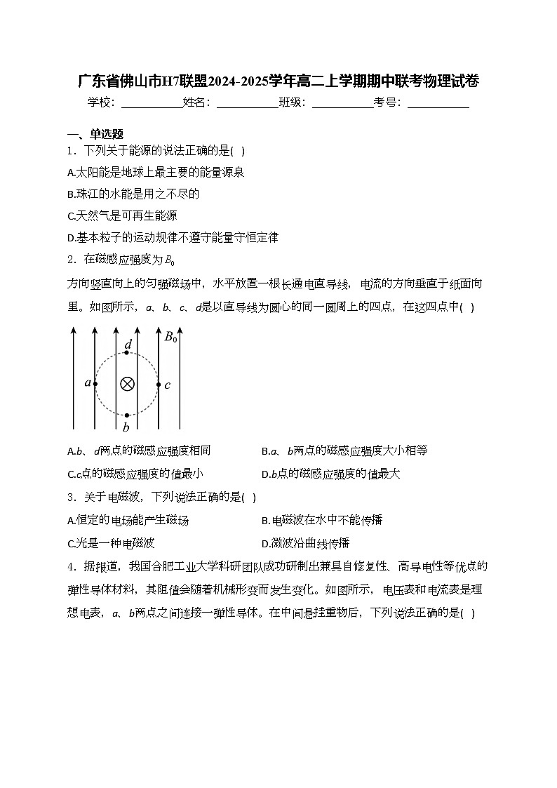 广东省佛山市H7联盟2024-2025学年高二上学期期中联考物理试卷(含答案)第1页