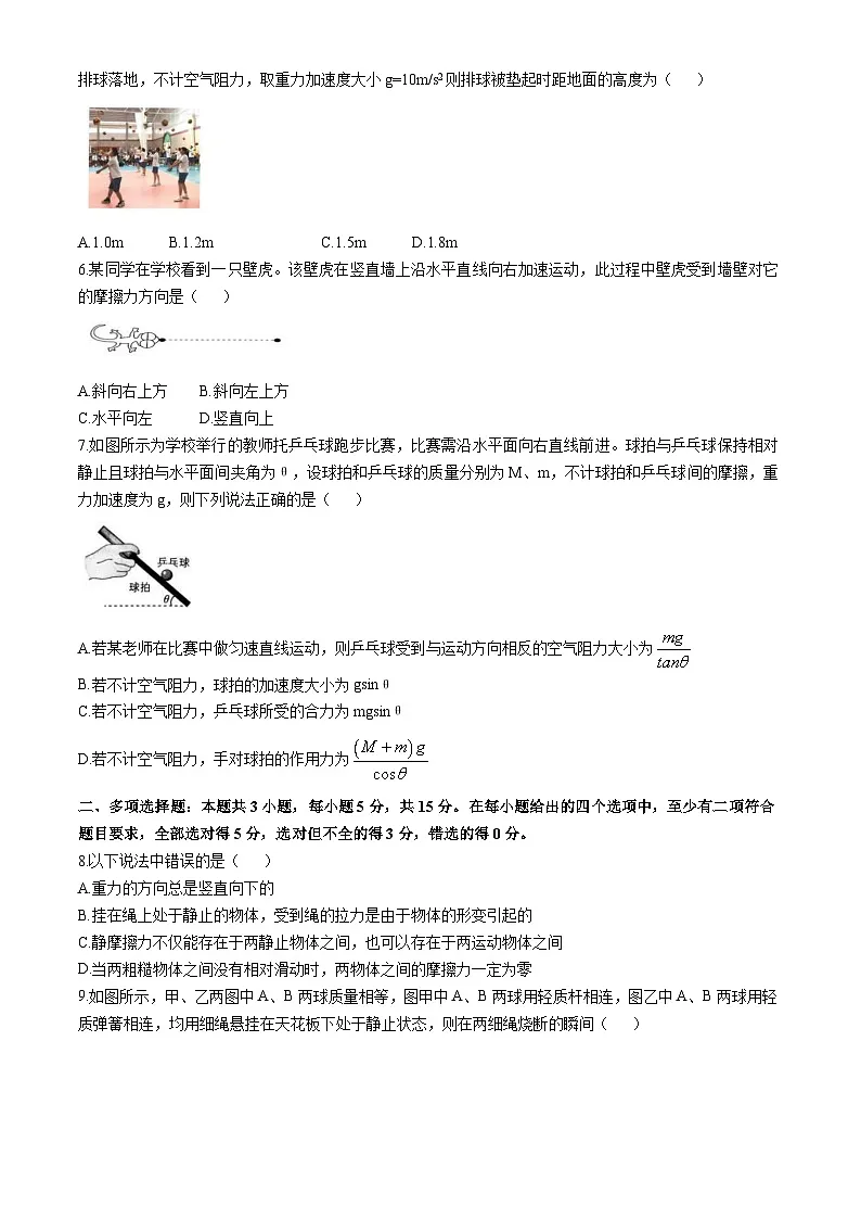 重庆市合川中学2024-2025学年高一上学期第二次月考物理试卷（Word版附答案）第2页