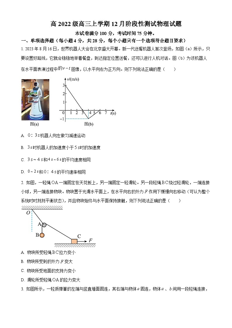 四川省成都市某中学2024-2025学年高三上学期12月月考物理试题 Word版无答案第1页