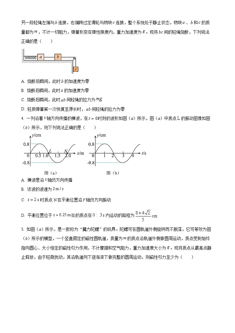 四川省成都市某中学2024-2025学年高三上学期12月月考物理试题 Word版无答案第2页