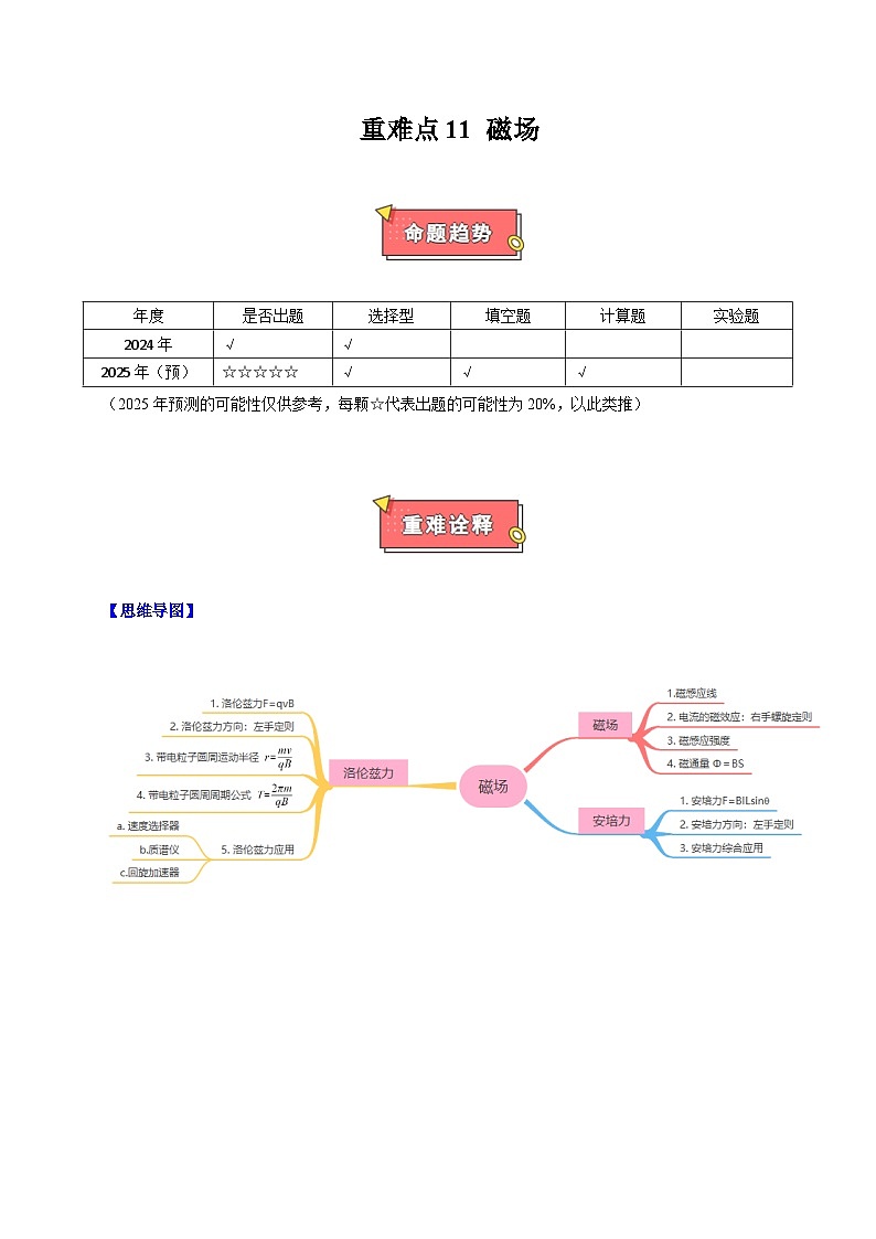 重难点11 磁场-2025年高考物理 热点 重点 难点 专练（上海专用）（解析版）第1页