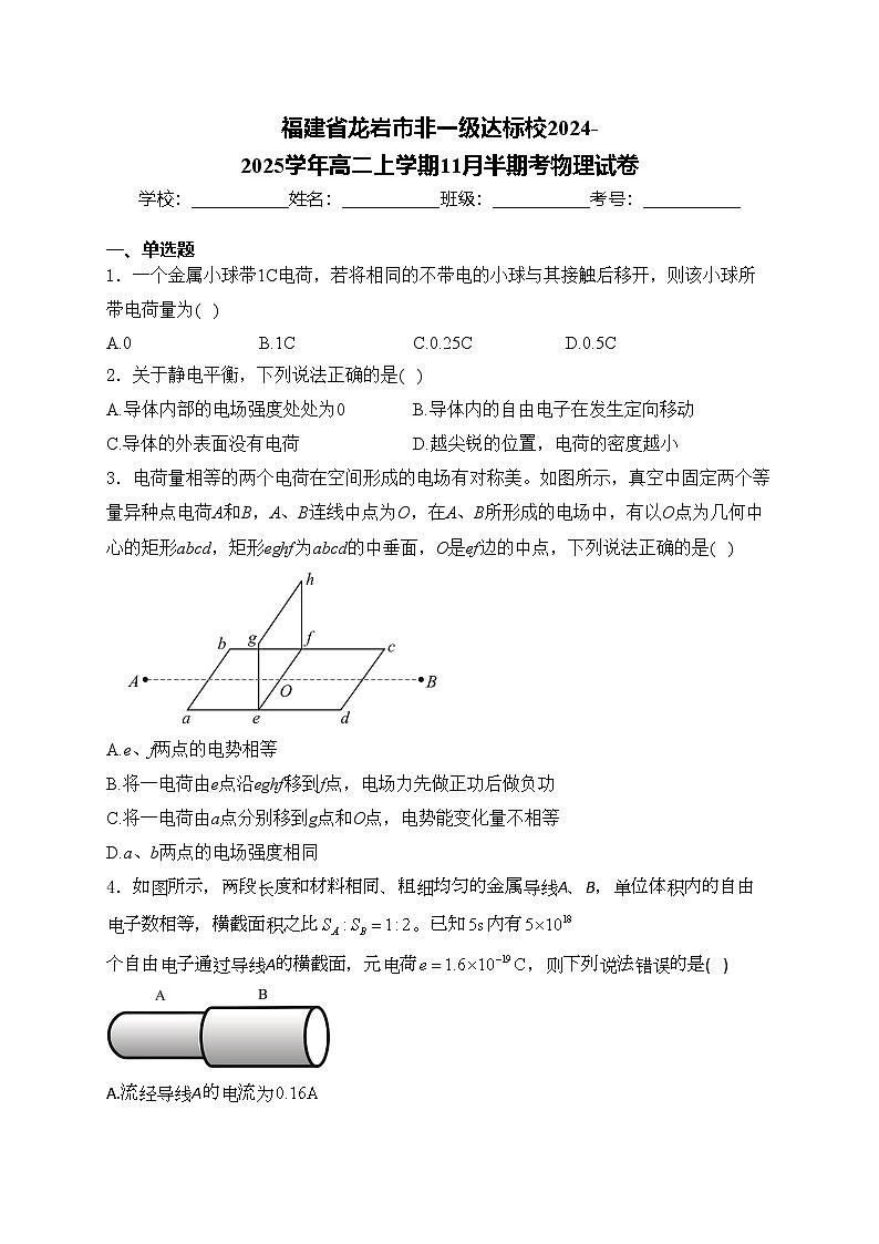 福建省龙岩市非一级达标校2024-2025学年高二上学期11月半期考物理试卷(含答案)第1页