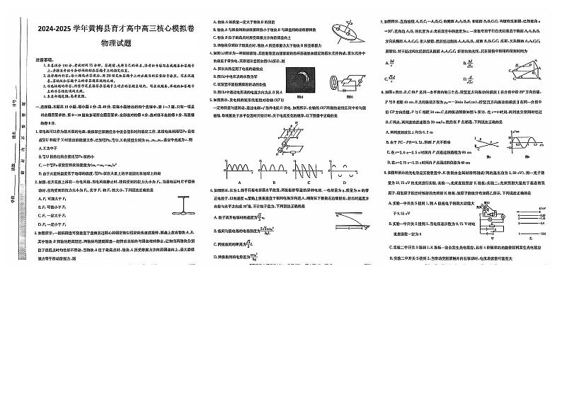 湖北省黄冈市黄梅县育才高级中学2024-2025学年高三核心模拟预测物理第1页