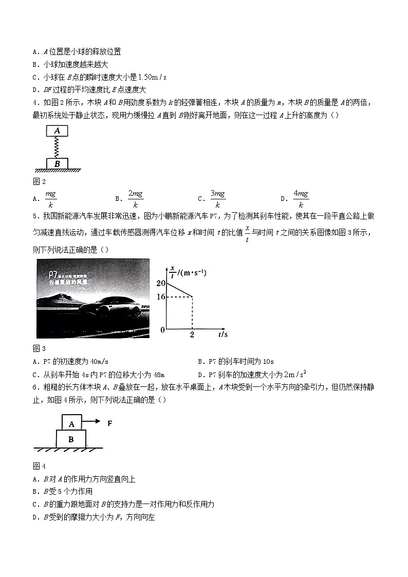 湖北省孝感市2023_2024学年高一物理上学期期中联考试题第2页