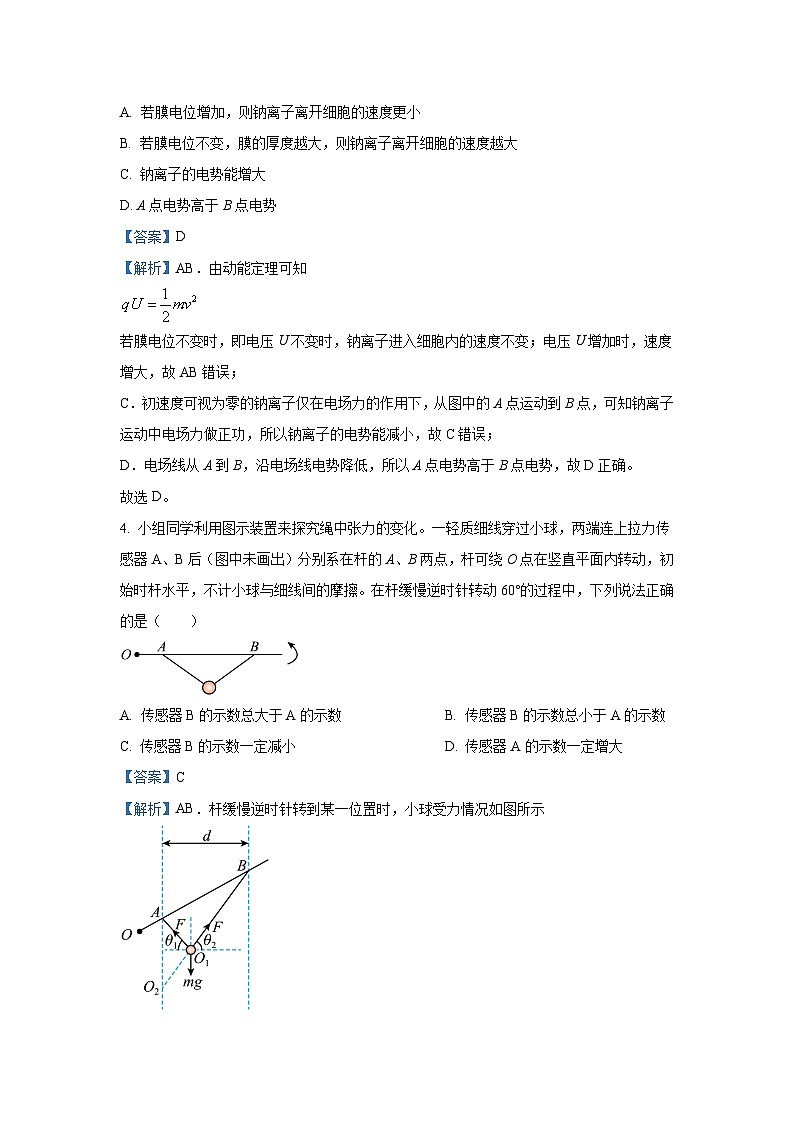 辽宁省沈阳市重点高中联合体2024-2025学年高三（上）11月期中物理试卷（解析版）第3页