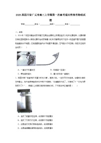 2025届四川省广元市高三上学期第一次高考适应性统考物理试题