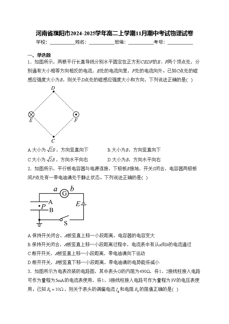 河南省濮阳市2024-2025学年高二上学期11月期中考试物理试卷(含答案)第1页