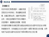 2025高考物理二轮复习专题二-功和能、动量-第六讲 冲量与动量【课件】