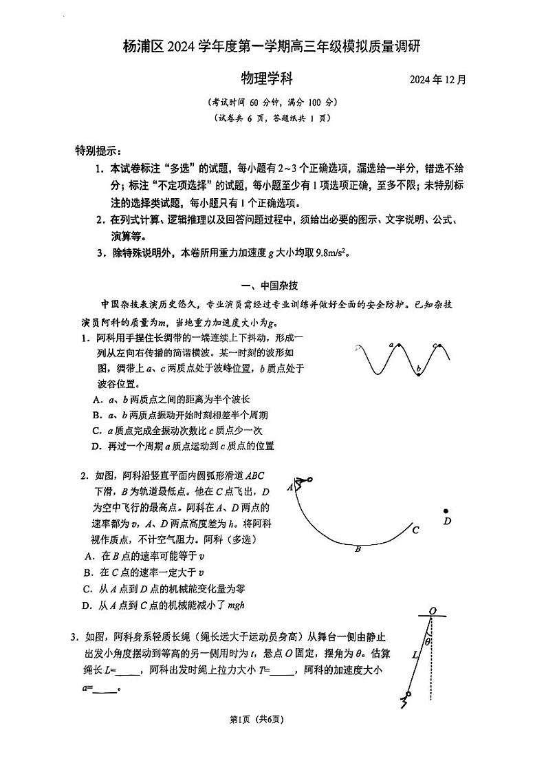 2025届上海市杨浦区高三一模物理试卷第1页