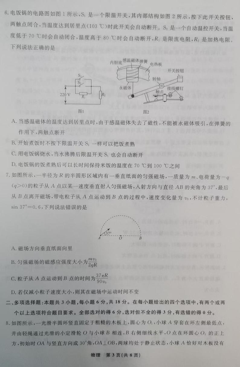 河北省衡水市第二中学集团校2024-2025学年高三上学期四调（期末）物理试题第3页
