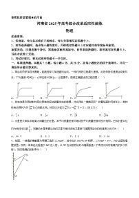 物理-2025年高考综合改革适应性演练【新八省联考】河南卷，无答案