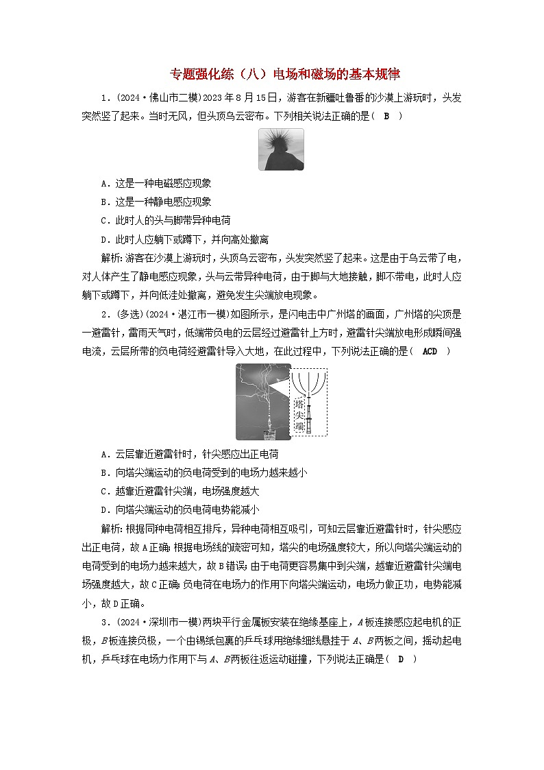2025届高考物理二轮专题复习与测试专题强化练八电场和磁场的基本规律第1页