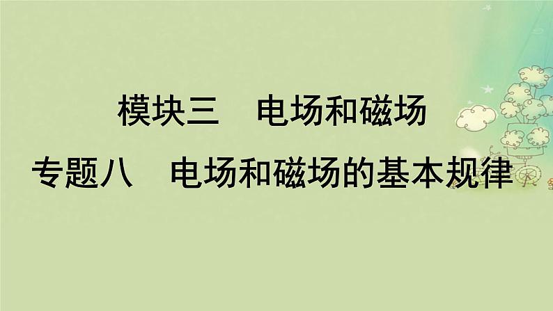 2025届高考物理二轮专题复习与测试模块三电场和磁场专题八电场和磁场的基本规律课件第1页